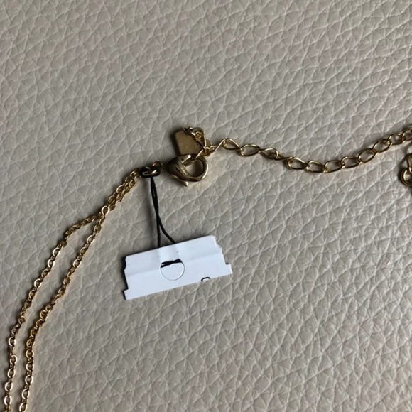NWT Cookie Lee Necklace - Picture 3 of 3